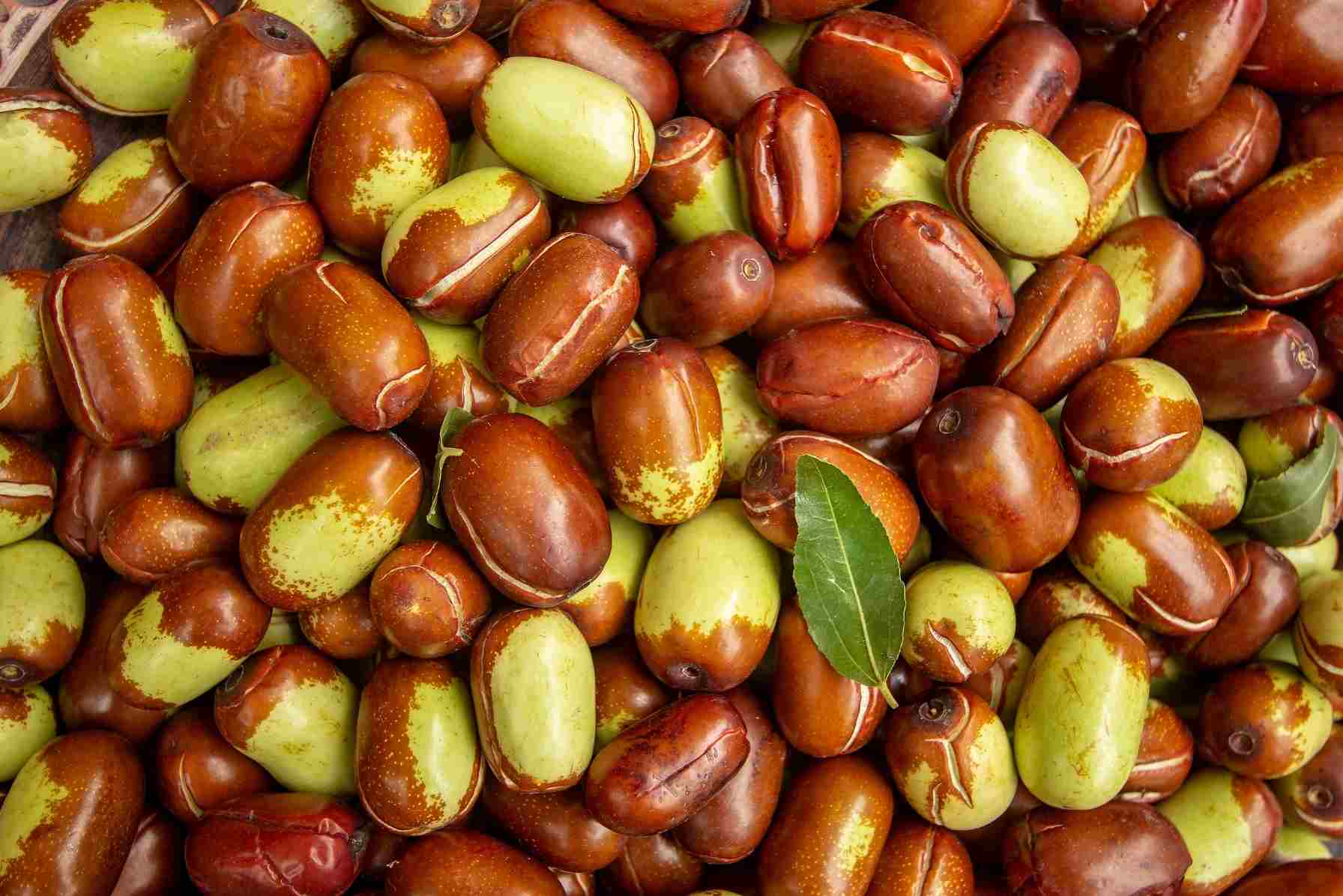 Jojoba Yağı: Doğanın Besleyici Gücü