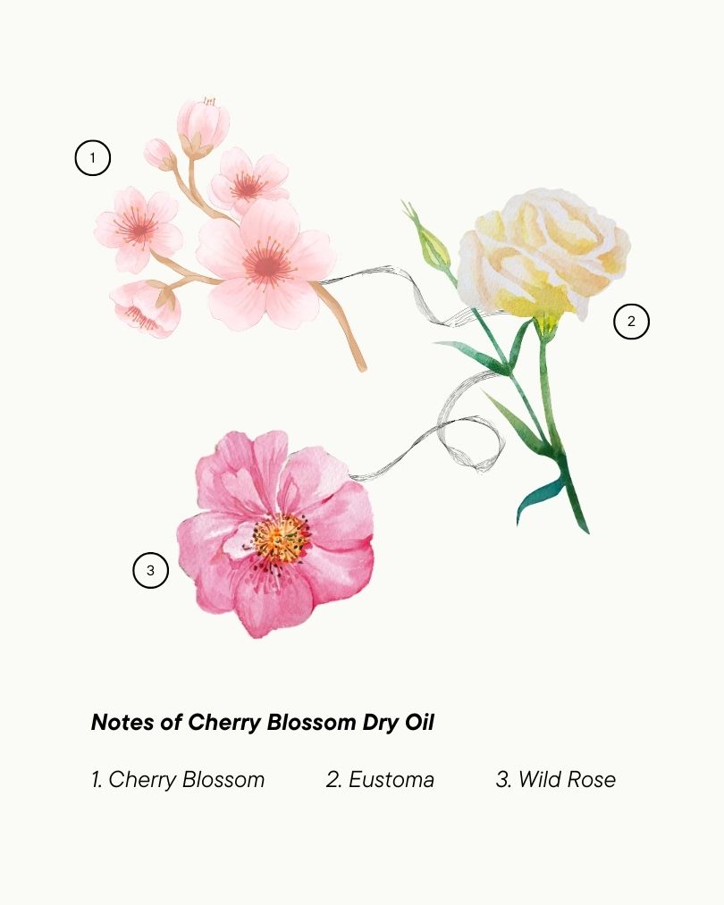 Cherry Blossom Kuru Yağ - Dry Oil