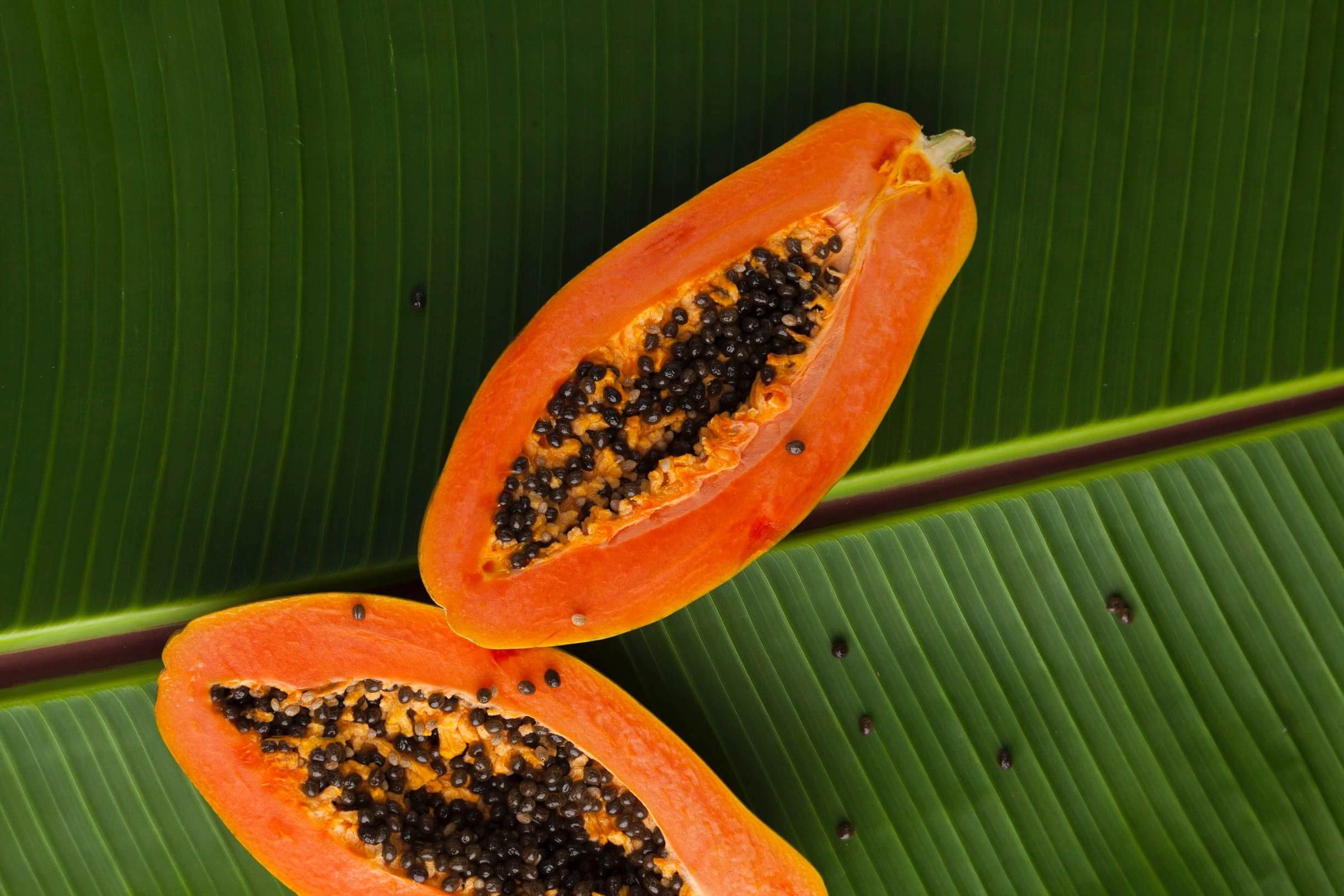 Papaya Ekstraktı: Tropikal Mucize | SoapyLog