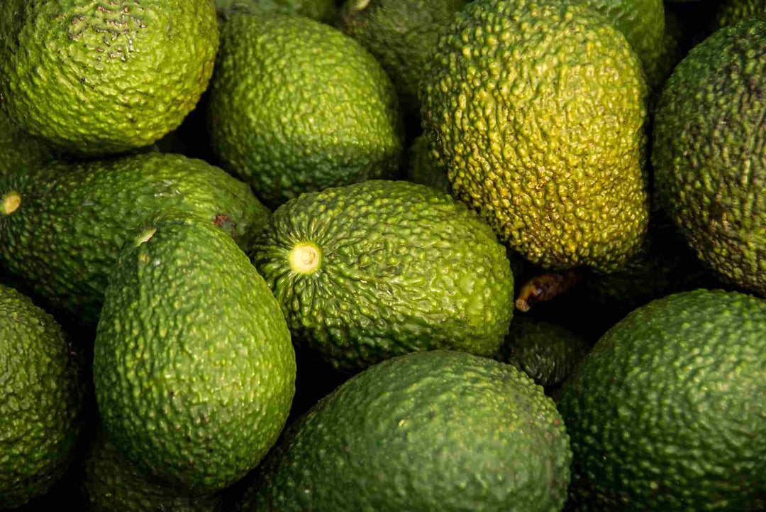 Avokado Yağı ile Cilt Bakımını Zenginleştir