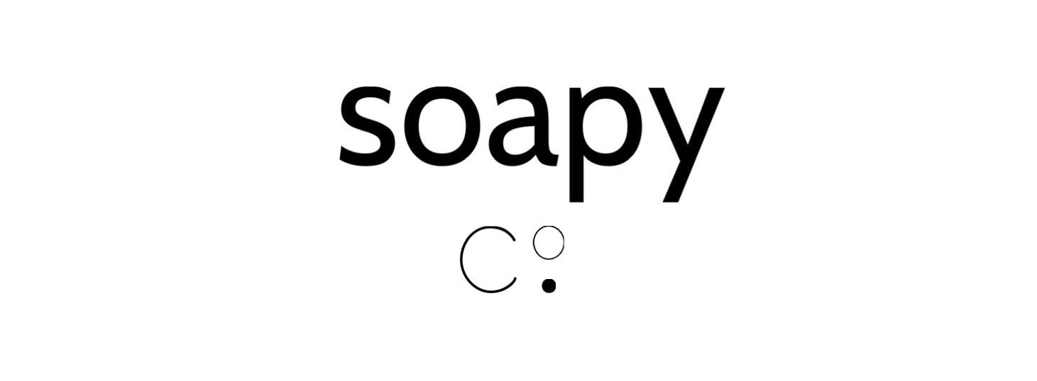 SoapyLog açıldı!